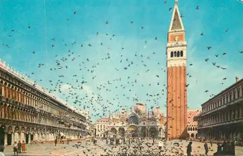 Italy Venezia Piazza S Marco flight of pigeons