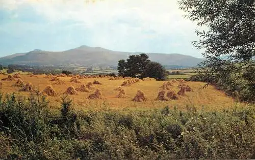 Wales Brecon - the beacons from Crug Hill
