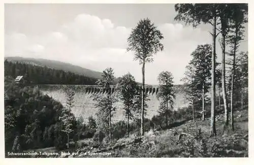 Germany Schwarzenbach-Talsperre Blick auf die Sperrmauer