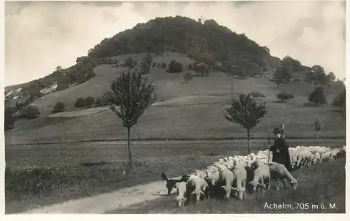 Germany Achalm shepherd with sheep flock