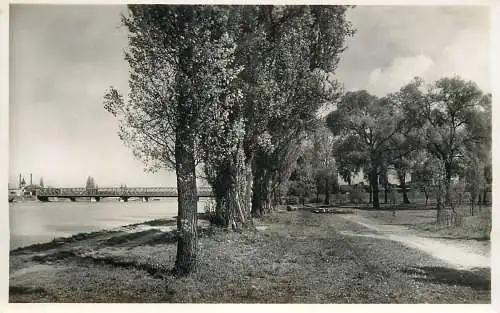 Germany Kehl am Rhein Rheinpromenade