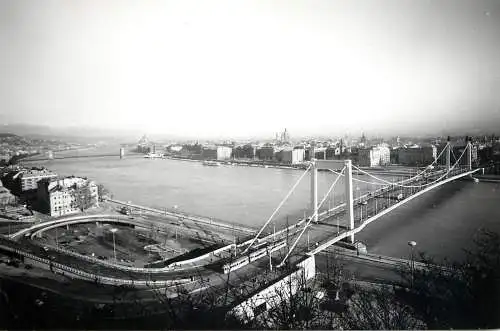 Hungary Budapest Danube and Elizabeth bridge