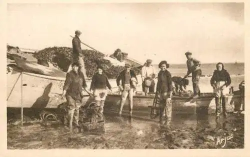 France Ile d'Oleron Embarquement d'huitres dans le Viviers