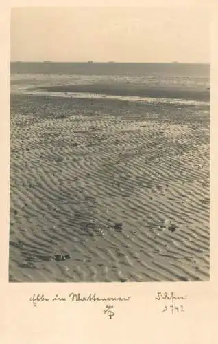 Ebbe im Wattenmeer - Low Tide in the Wadden Sea