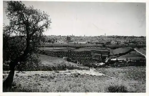Israel Jerusalem ancient city from Olive Mountain