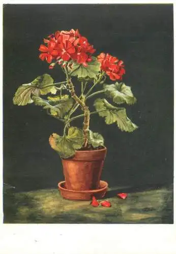 Postcard flower vase