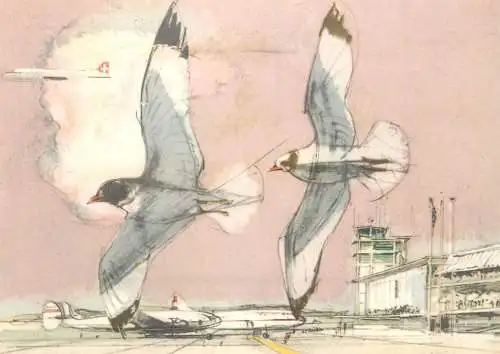 Postcard aviation airport Swiss Air doves