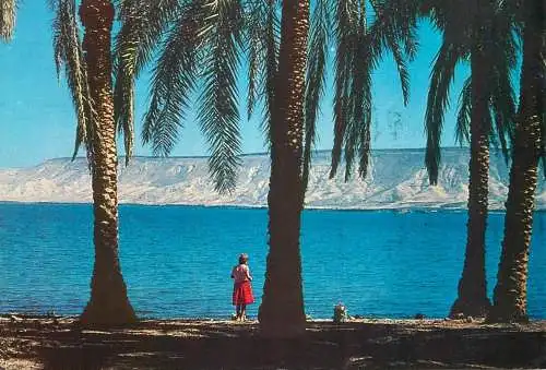 Israel Lake of Galilee