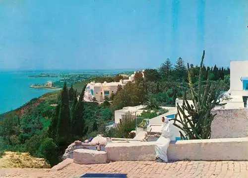 Tunisia Bou Said - the hill and its gardens