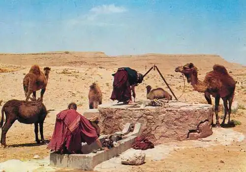 Sud Tunisien Puits - source de vie