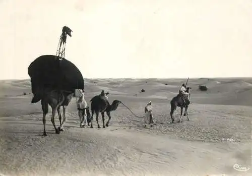 Caravane d'Afrique scenes et types
