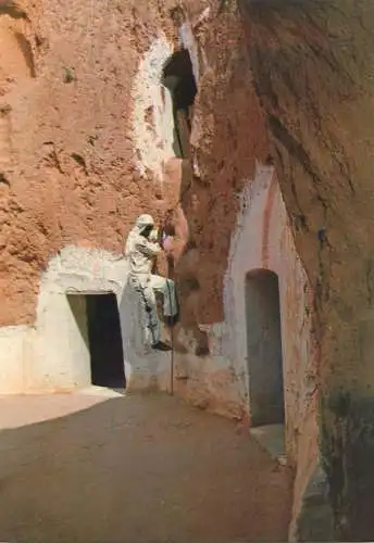 Tunisia Matamata