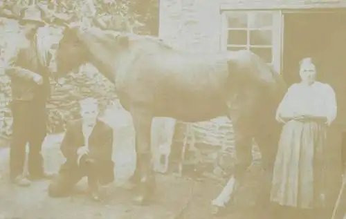 Social history souvenir photo group family barn horse