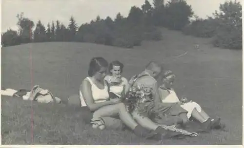 Anonymous persons social history souvenir photo postcard family picnic nature