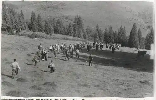 Anonymous persons social history souvenir photo postcard family nature hike mountain