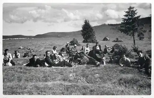 Anonymous persons social history souvenir photo postcard friends picnic nature