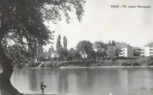 Romania Arad vedere de pe malul Muresului