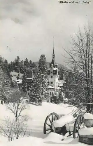 Romania Sinaia Muzeul "Peles" peisaj de iarna tun