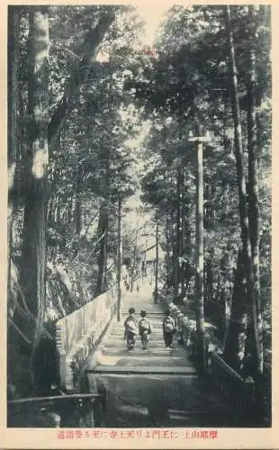 Japan postcard children bridge forest architecture