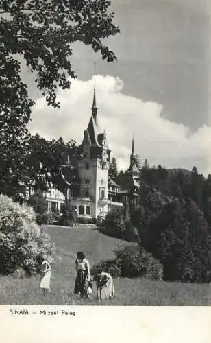 Romania Sinaia Castelul-muzeu Peles