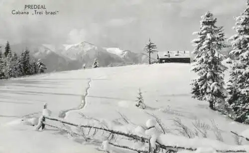 Romania vedere din Predeal - Cabana "Trei brazi"
