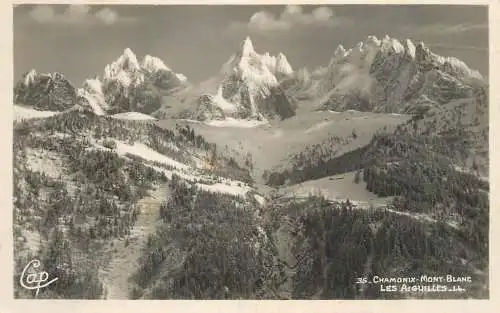 France Chamonix-Mont-Blanc Les Aiguilles paysage d'hiver