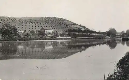 France Environs d'Ay (Marne) - La bouteille de champagne