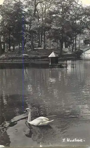 France Massy vue sur le la cygnes