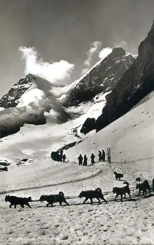 Switzerland Jungfraujoch sleigh drawn by polar dogs