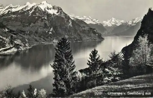 Switzerland Urnersee vom Seelisberg aus