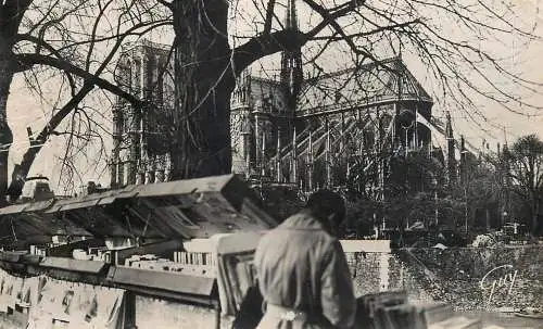 France Paris "Bouquiniste" de la rive et Cathedrale Notre Dame