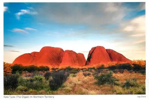 Postcard Australia Northern Territory Kata Tjuta the Olgas