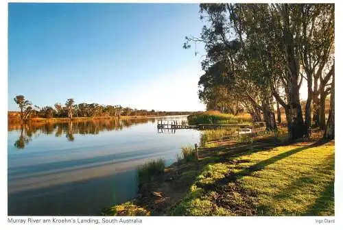 Postcard Australia South Australia Murray River am Kroehn's landing