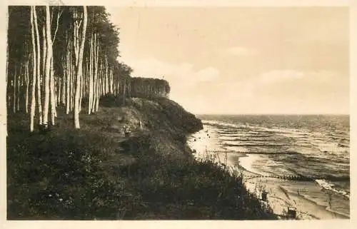 Germany Ostseebad Kolpinsee beach and forest view