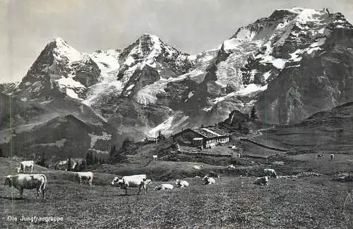 Postcard Switzerland die Jungfraugruppe