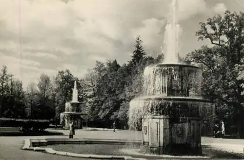 Russia Peterhof Roman Fountain
