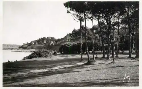 France Perros Guirec Sapiniere en bordure de la plaje de Trestraou