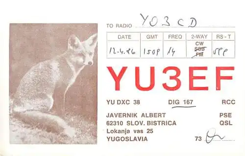 QSL Card Yugoslavia Amateur Radio Station YU3EF Y03CD 1986 Javernik Albert fox