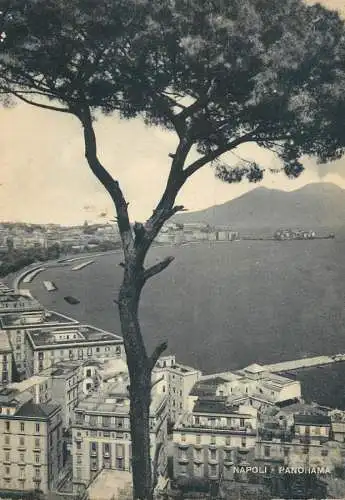 Sailing & navigation themed postcard Naples harbor