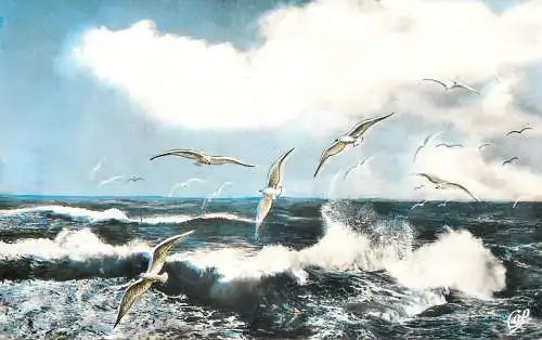 Sailing & navigation themed postcard seagulls sea waves