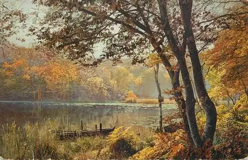 Sailing & navigation themed postcard forest landscape lake boat
