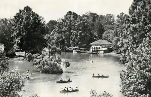Sailing & navigation themed postcard Craiova people park lake rowboat