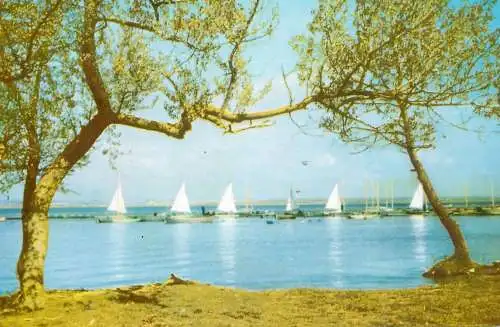 Sailing & navigation themed postcard Mamaia Siut Ghiol