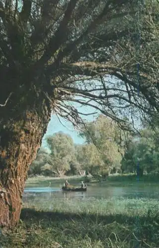 Sailing & navigation themed postcard Danube Delta rowboat