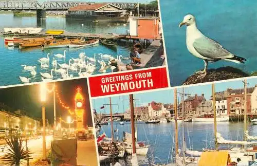Sailing & navigation themed postcard UK Weymouth pier clocktower harbour sailboat seagull