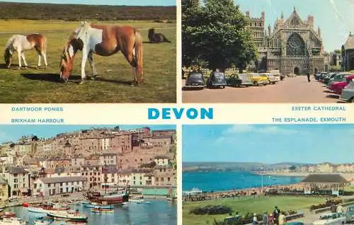Sailing & navigation themed postcard UK Devon Exeter horse galleon harbour cruise