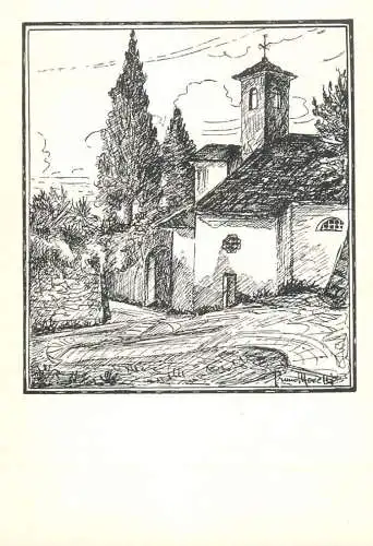 Italia cartolina postale Conegliano Madonna della Neve