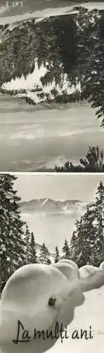 Heartfelt greetings winter scenery multi view