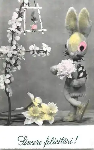Heartfelt greetings toy rabbit flowers