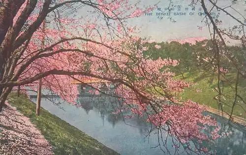 Japan scenic vintage postcard the Benket Bashi of cherries